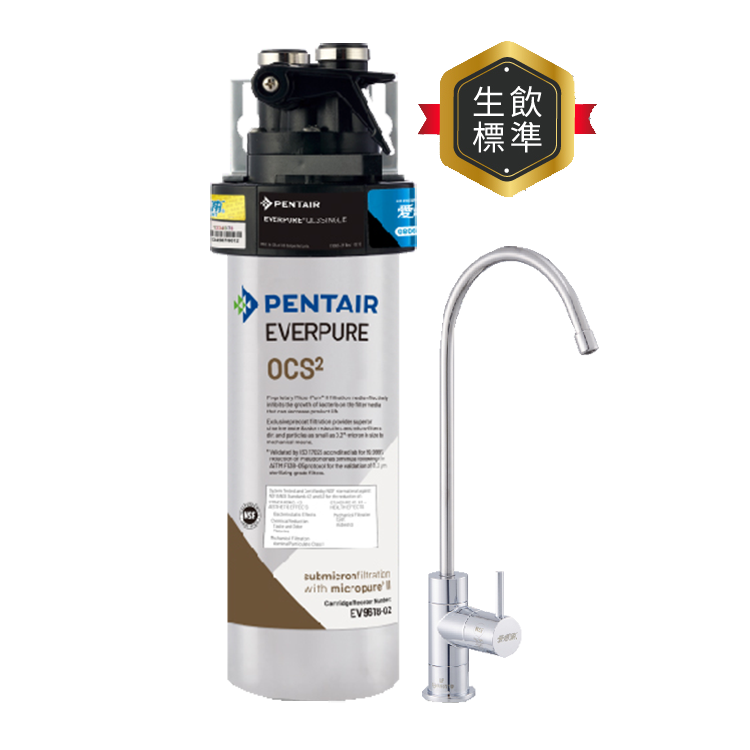 (可議價)EVERPURE 愛惠浦 全效O系列 淨水設備 含安裝 (PurVive-OCS2)