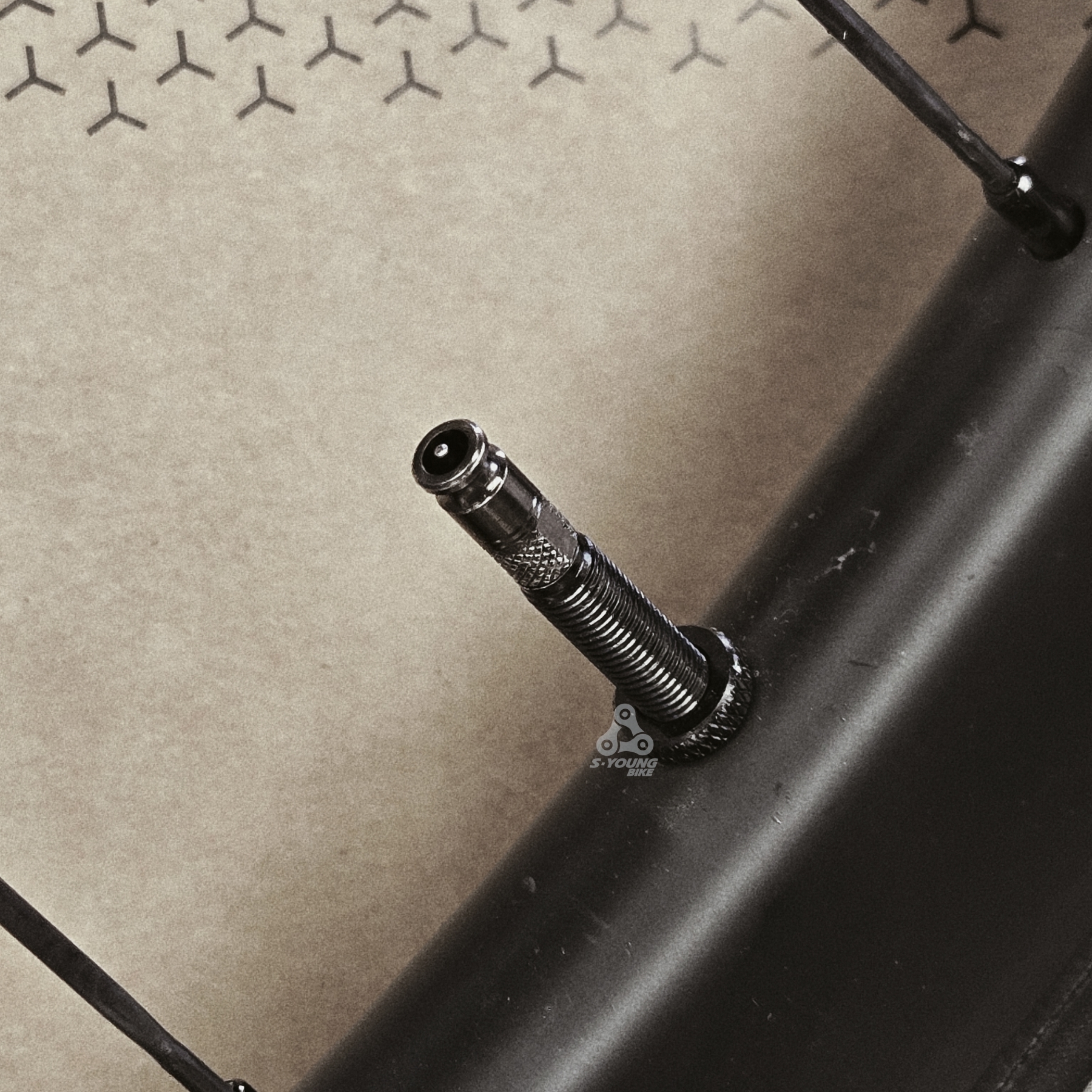 超方便【Schwalbe】Clik Valve 快拆氣嘴套組 / 適用各類型單車