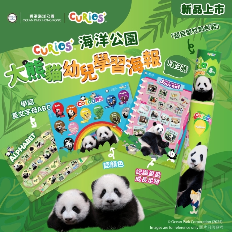 Ocean Park x Curios Panda Poster Pack (3pcs)