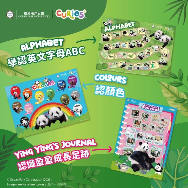 Ocean Park x Curios Panda Poster Pack (3pcs)