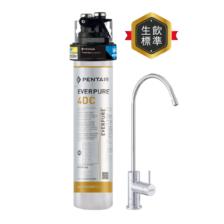 (可議價)EVERPURE 愛惠浦 銀離子抗菌 DC系列 淨水設備 含安裝 (PurVive-4DC)