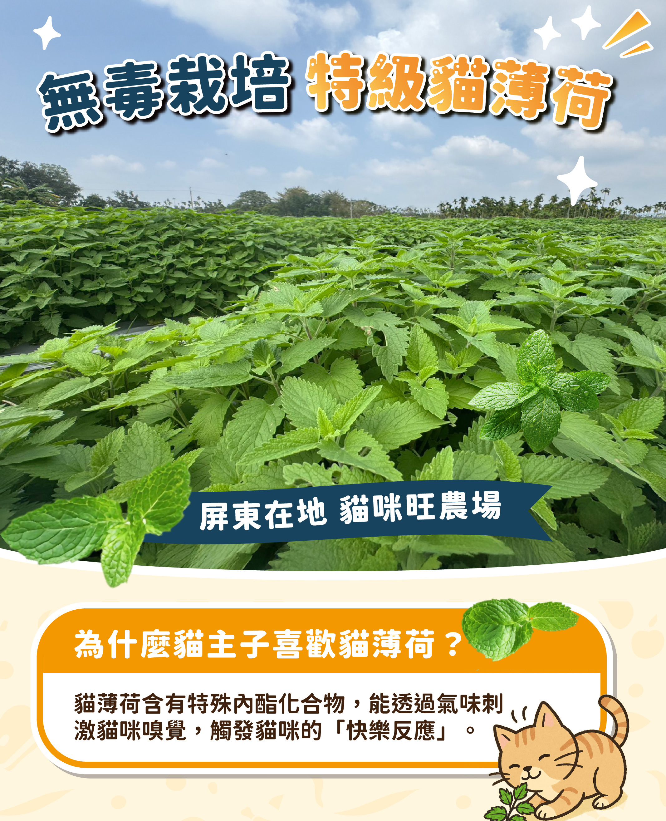 台灣飼糧倉 紓壓凍乾