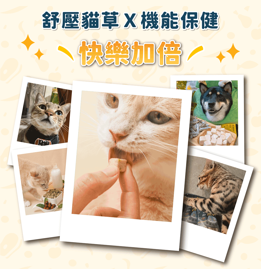 台灣飼糧倉 紓壓凍乾