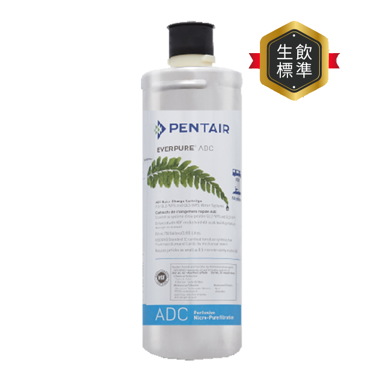 EVERPURE 愛惠浦 銀離子抗菌 DC系列 濾芯耗材 DIY更換/需安裝另計 (ADC)