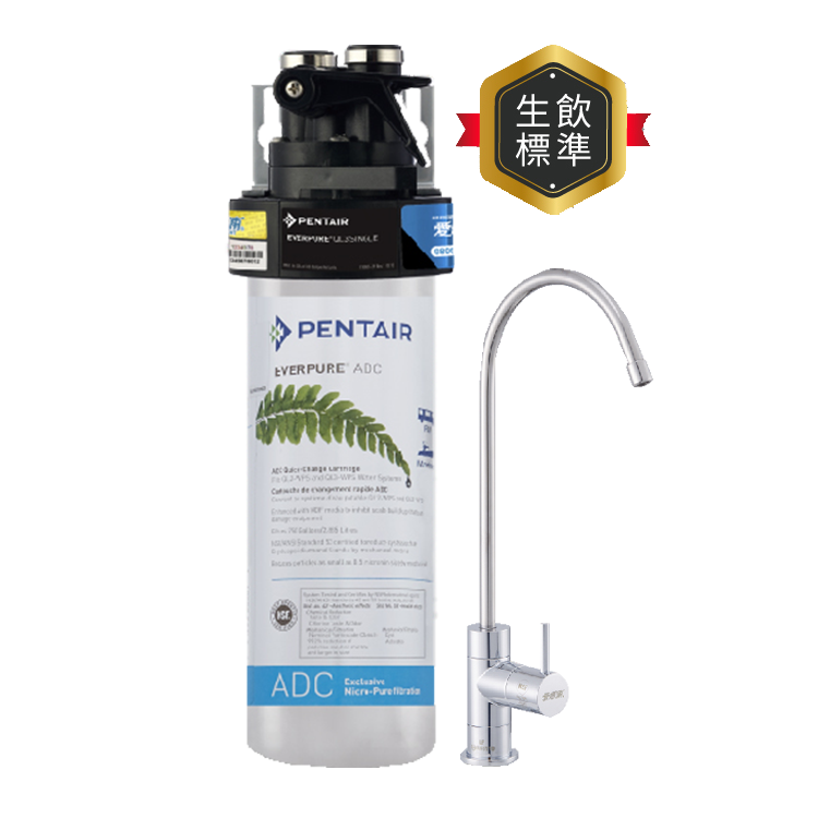 (可議價)EVERPURE 愛惠浦 銀離子抗菌 DC系列 淨水設備 含安裝 (PurVive-ADC)