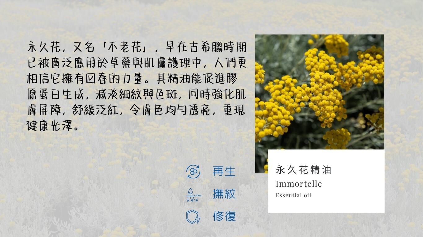 永久花精油成分介紹,促進膠原生成,減淡細紋與色斑,強化肌膚屏障