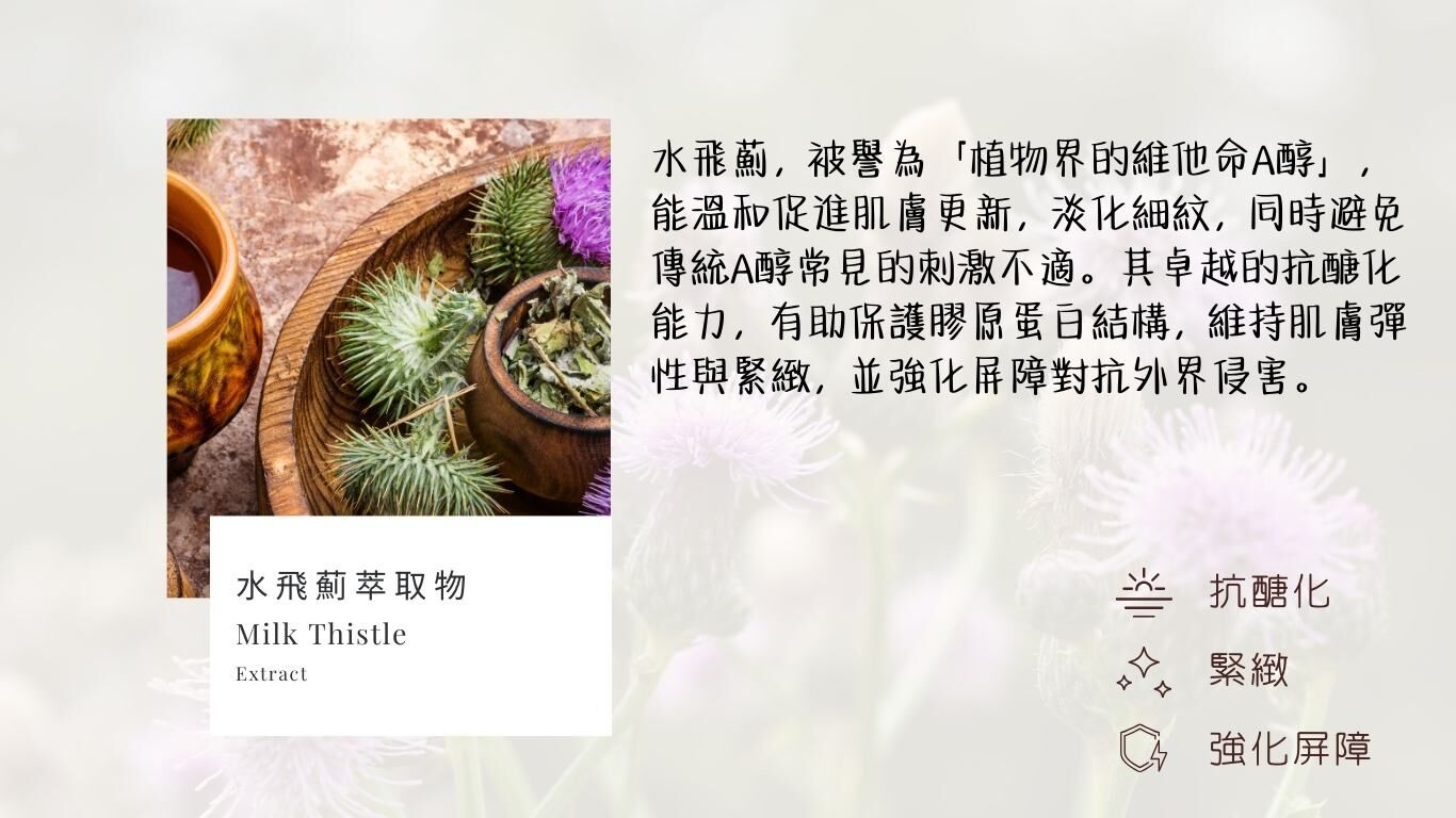 水飛薊萃取物成分介紹,溫和促進肌膚更新,抗氧化並維持彈性緊緻