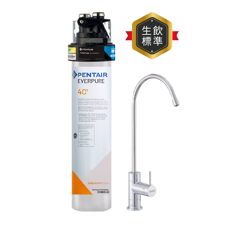 (可議價)EVERPURE 愛惠浦 高效能C系列 淨水設備 含安裝 (PurVive-4C2)