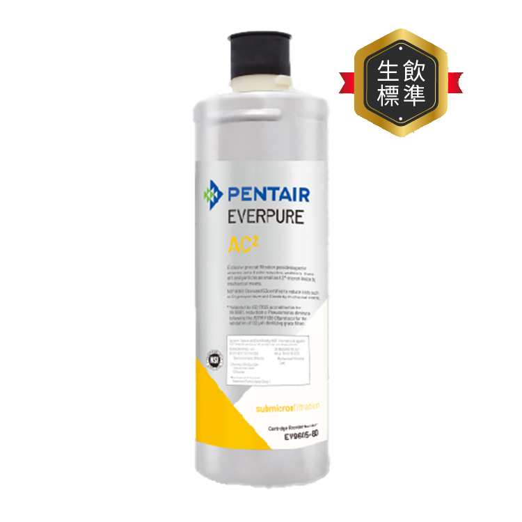 (可議價)EVERPURE 愛惠浦 高效能C系列 濾芯耗材 DIY更換/需安裝另計 (AC2)