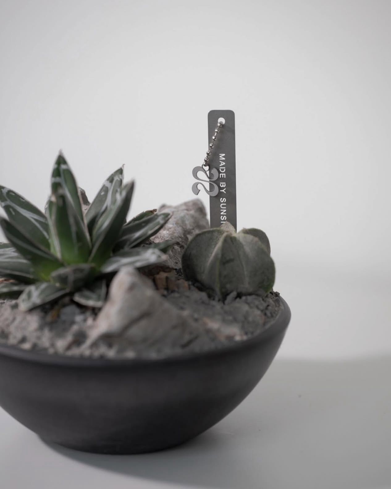 MADE BY SUNSI - STAINLESS STEEL PLANT TAG