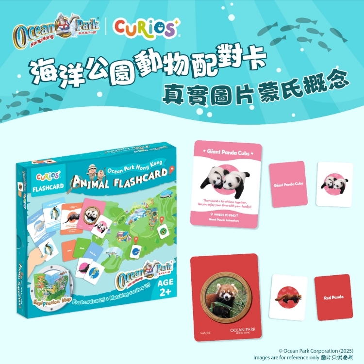 Ocean Park x Curios Animal Flashcard