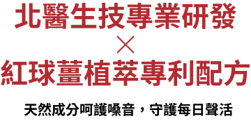 文字標題
