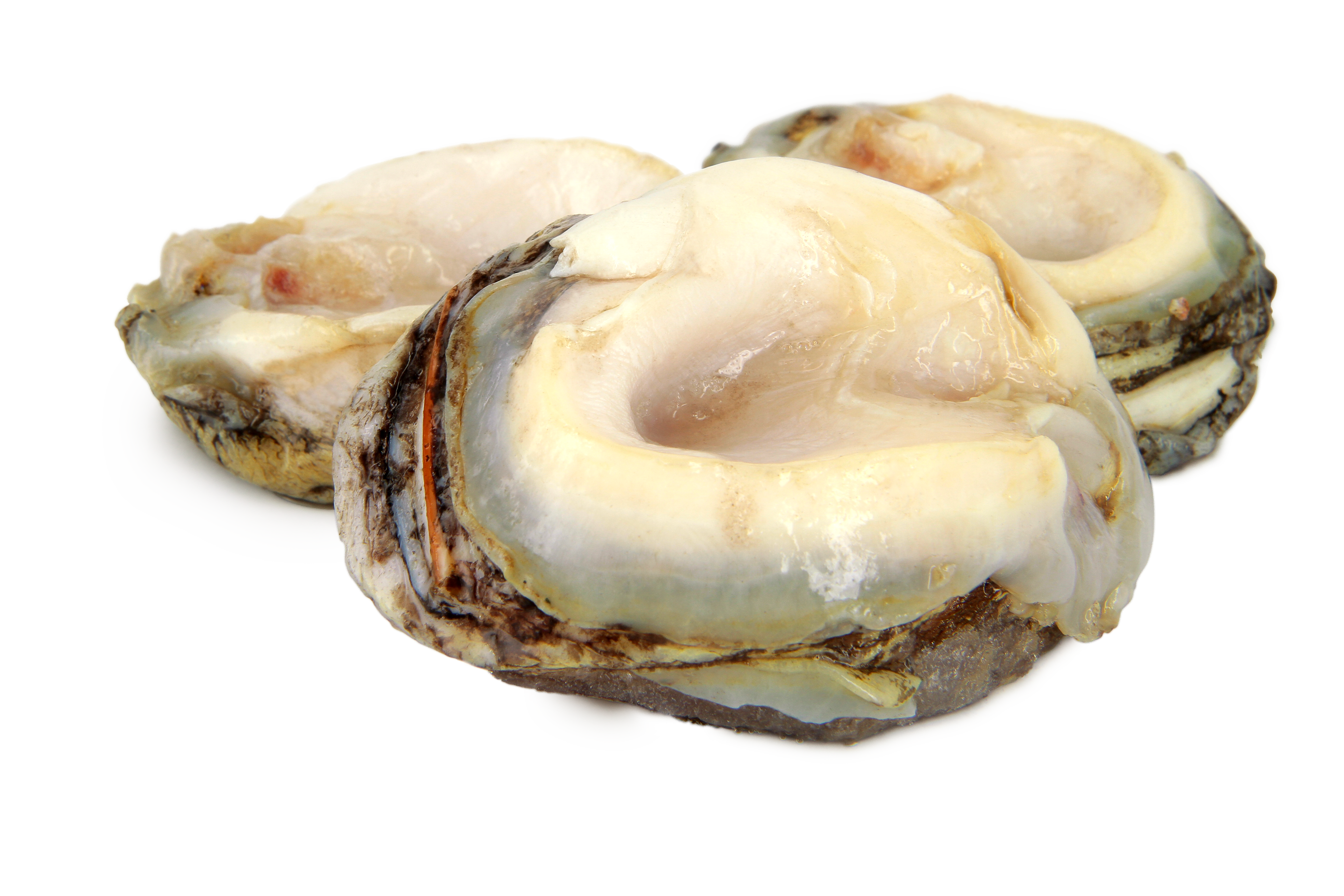 珍寶急凍智利鮑螺(1公斤)