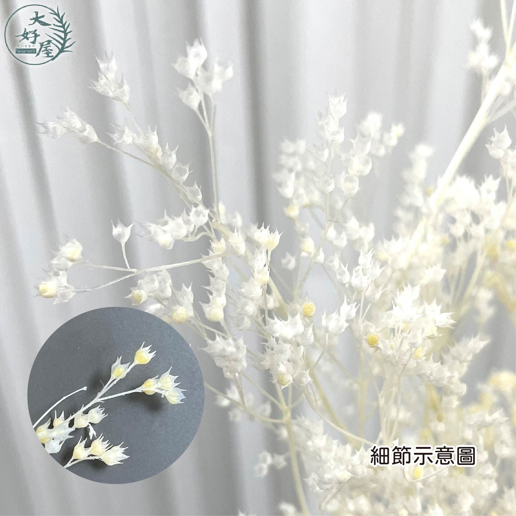 永生藍星草【小束裝】