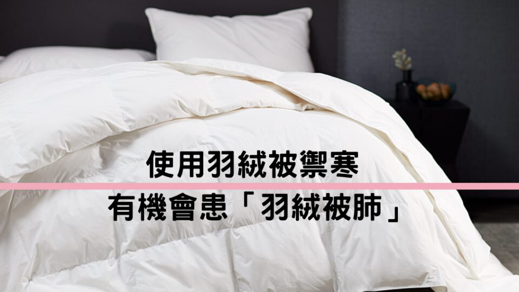 羽絨被過敏風險 羽絨被肺預防 寢具清潔方法