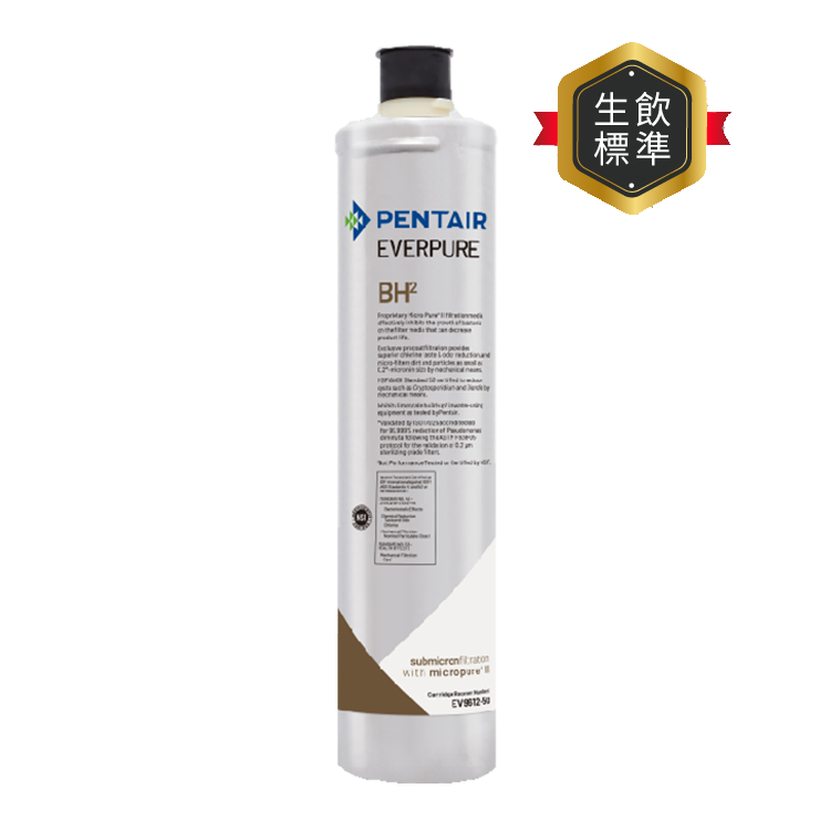 EVERPURE 愛惠浦 雙溫加熱系統專用 濾芯耗材 DIY更換/需安裝另計 (BH2)