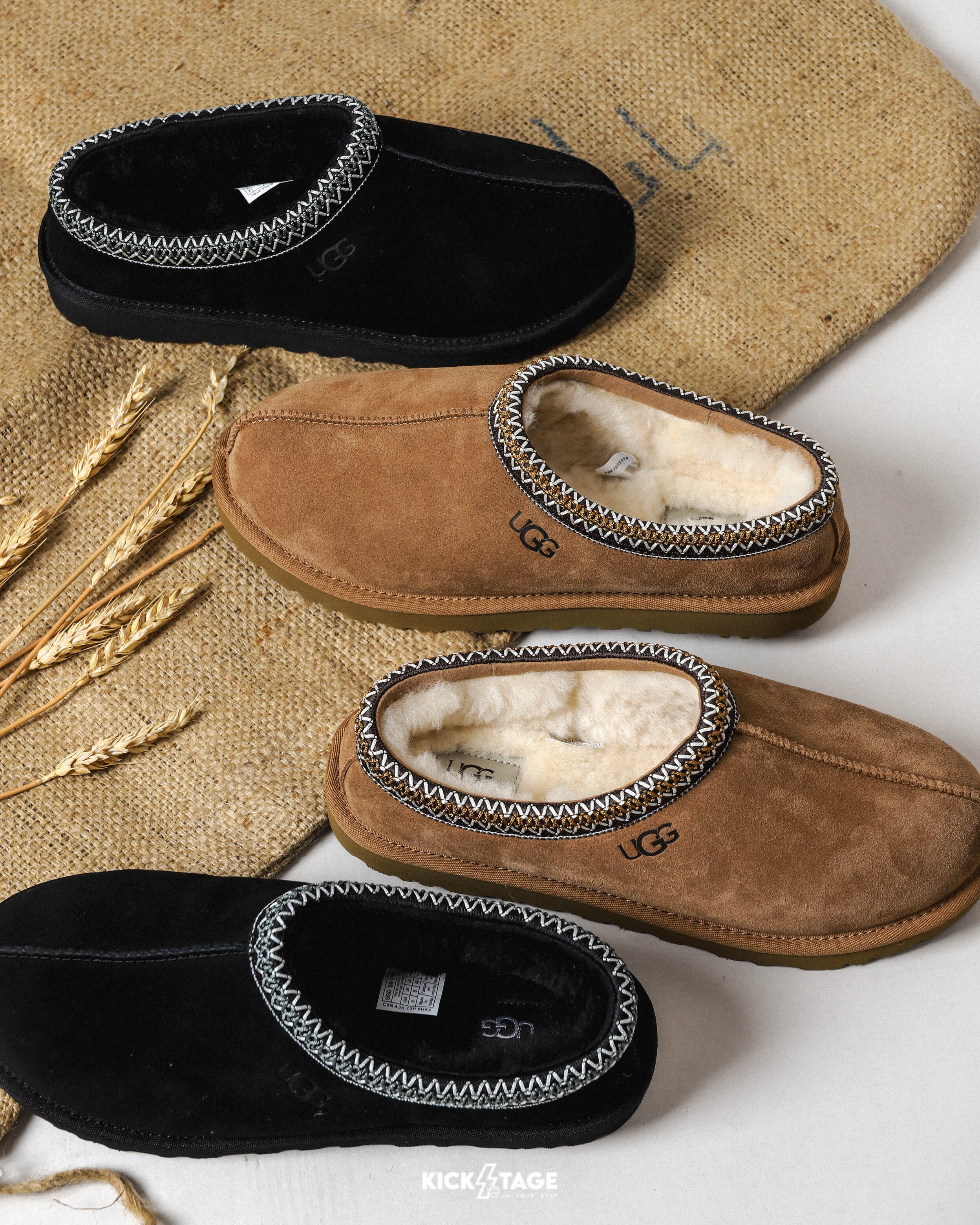 男鞋 UGG Tasman II 黑色 栗子棕 麂皮 羊皮鞋墊 圖驣 復古 毛拖 拖鞋 穆勒鞋【UG1174671】