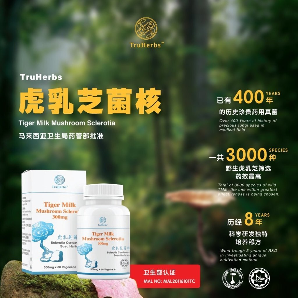 【玄和中醫 】虎乳芝菌核60粒 【10/19 截單，預計 :10月尾至11月中發貨】】
