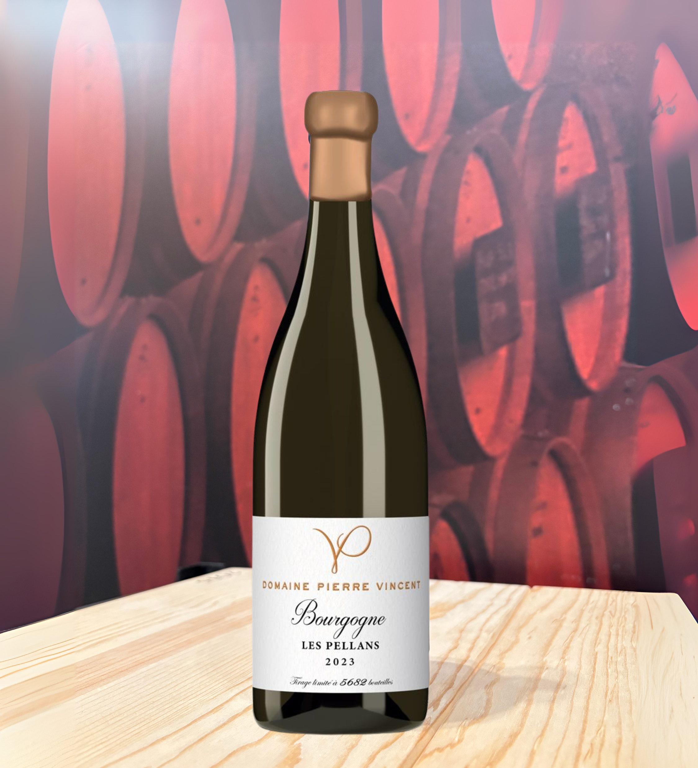 Pierre Vincent 2023 Bourgogne Les Pellans Blanc
