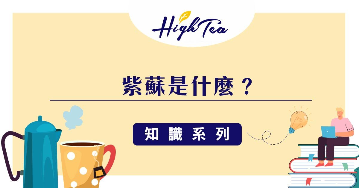 紫蘇是什麼