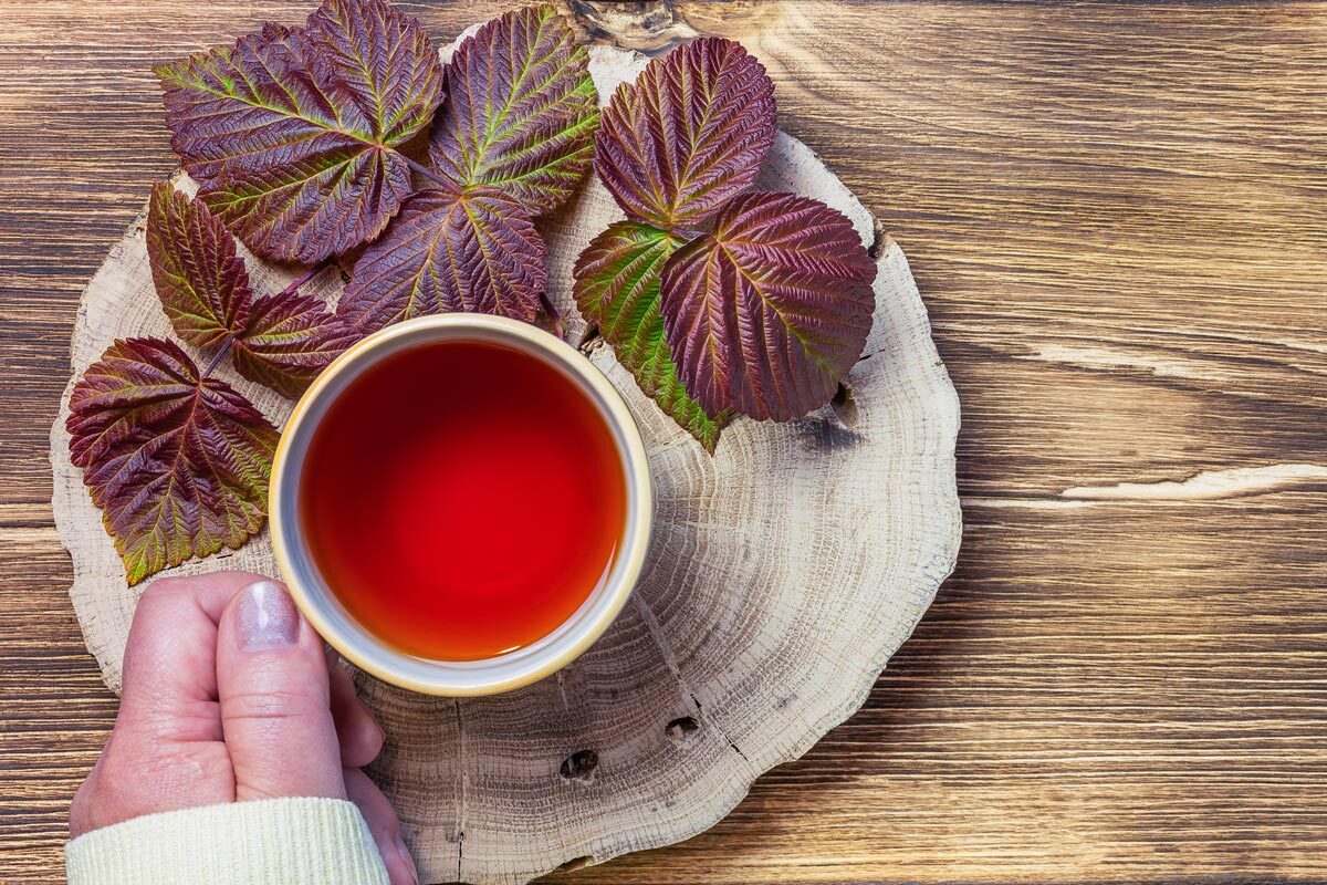 紫蘇茶