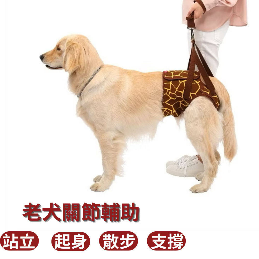 LaLawalk 後肢臀部包覆款-(單一尺寸)格紋咖啡