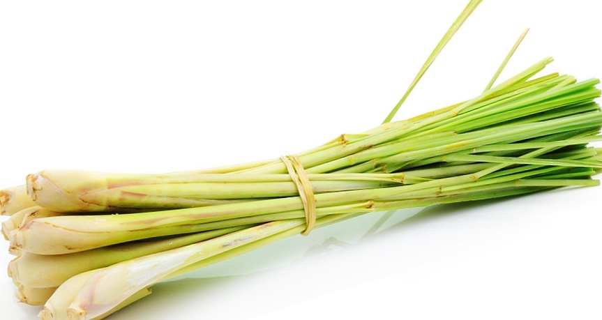 本地有機香茅 (150g/包)