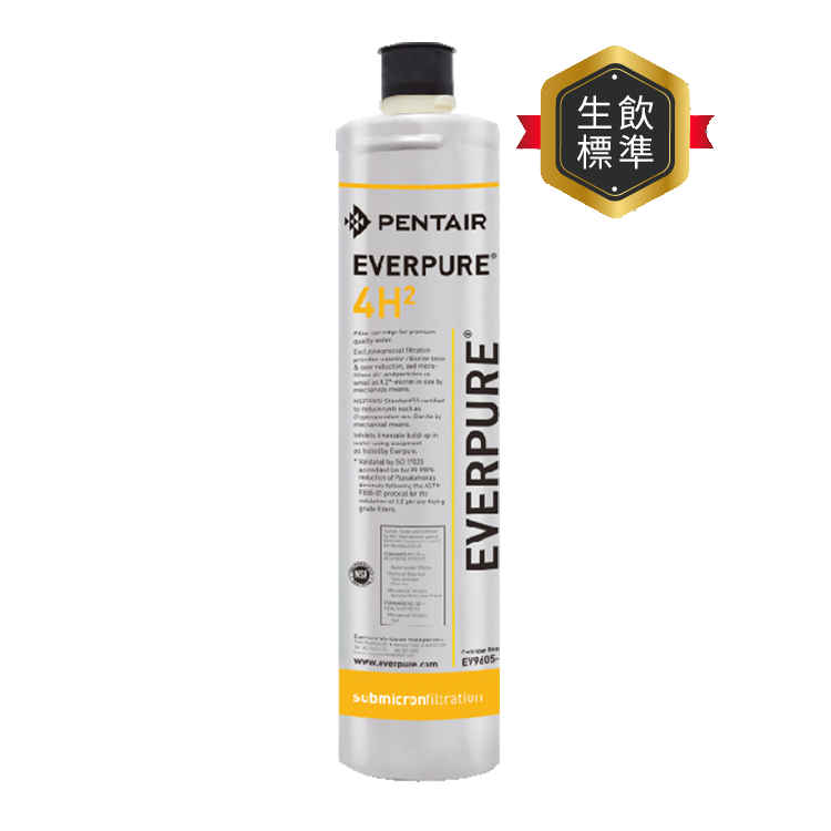 (可議價)EVERPURE 愛惠浦 極致H系列 濾芯耗材 DIY更換/需安裝另計(4H2)