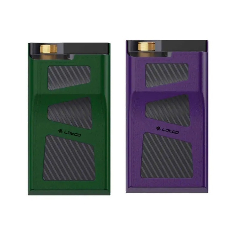 Lotoo PAW GT2 Leather Case