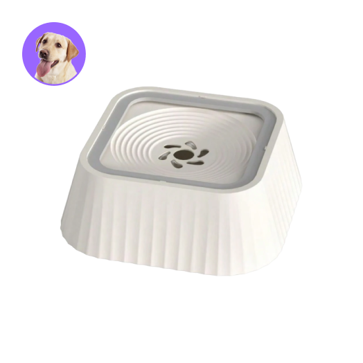 防濺防溢慢飲浮標盤狗水碗