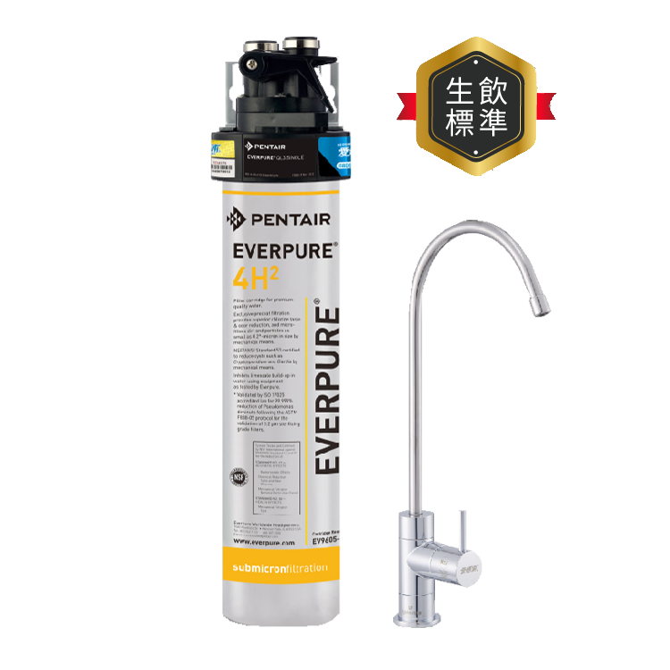 (可議價)EVERPURE 愛惠浦 極致H系列 淨水設備 含安裝 (PurVive-4H2)