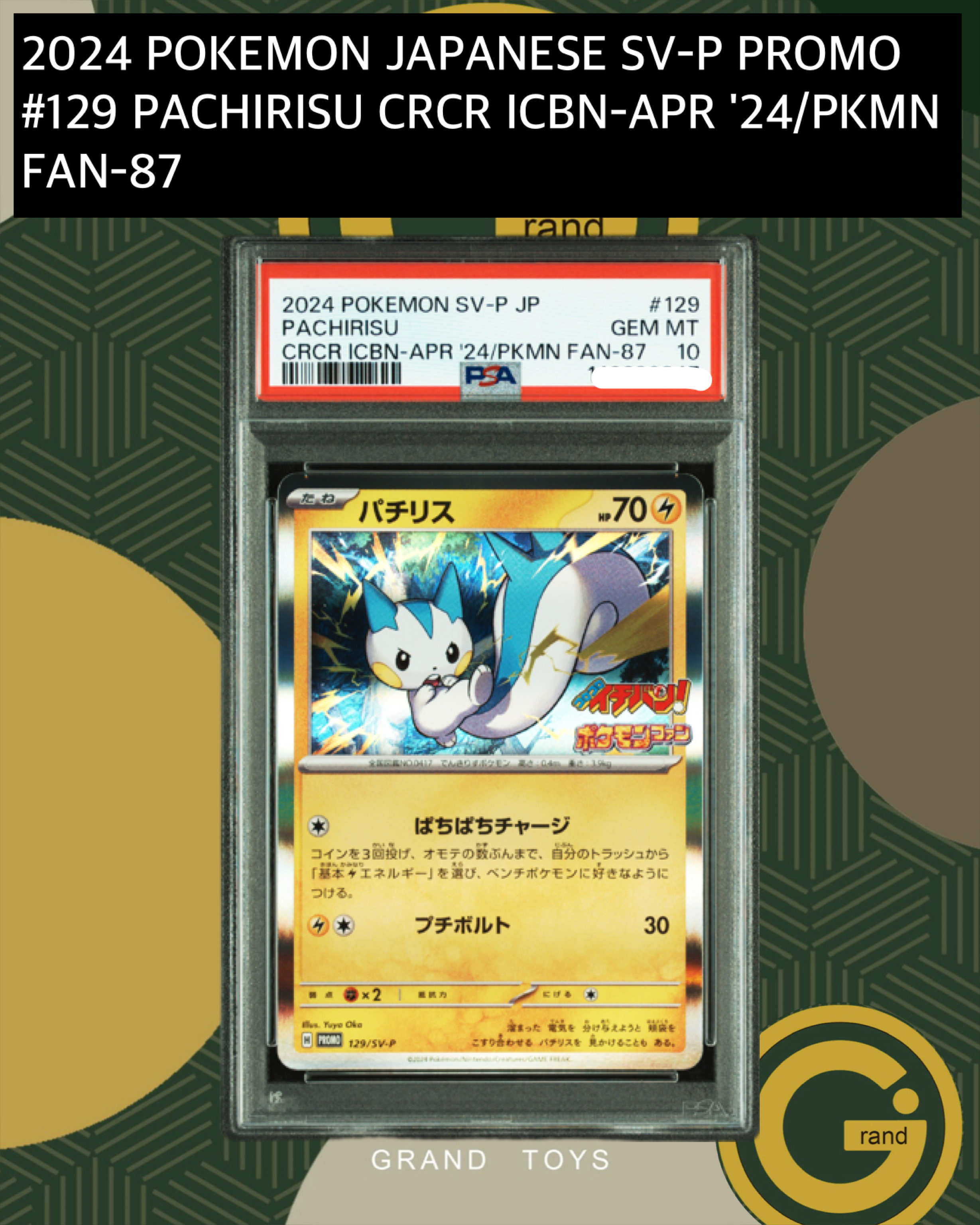 2024 POKEMON JAPANESE SV-P PROMO#129 PACHIRISU CRCR ICBN-APR '24/PKMN FAN-87