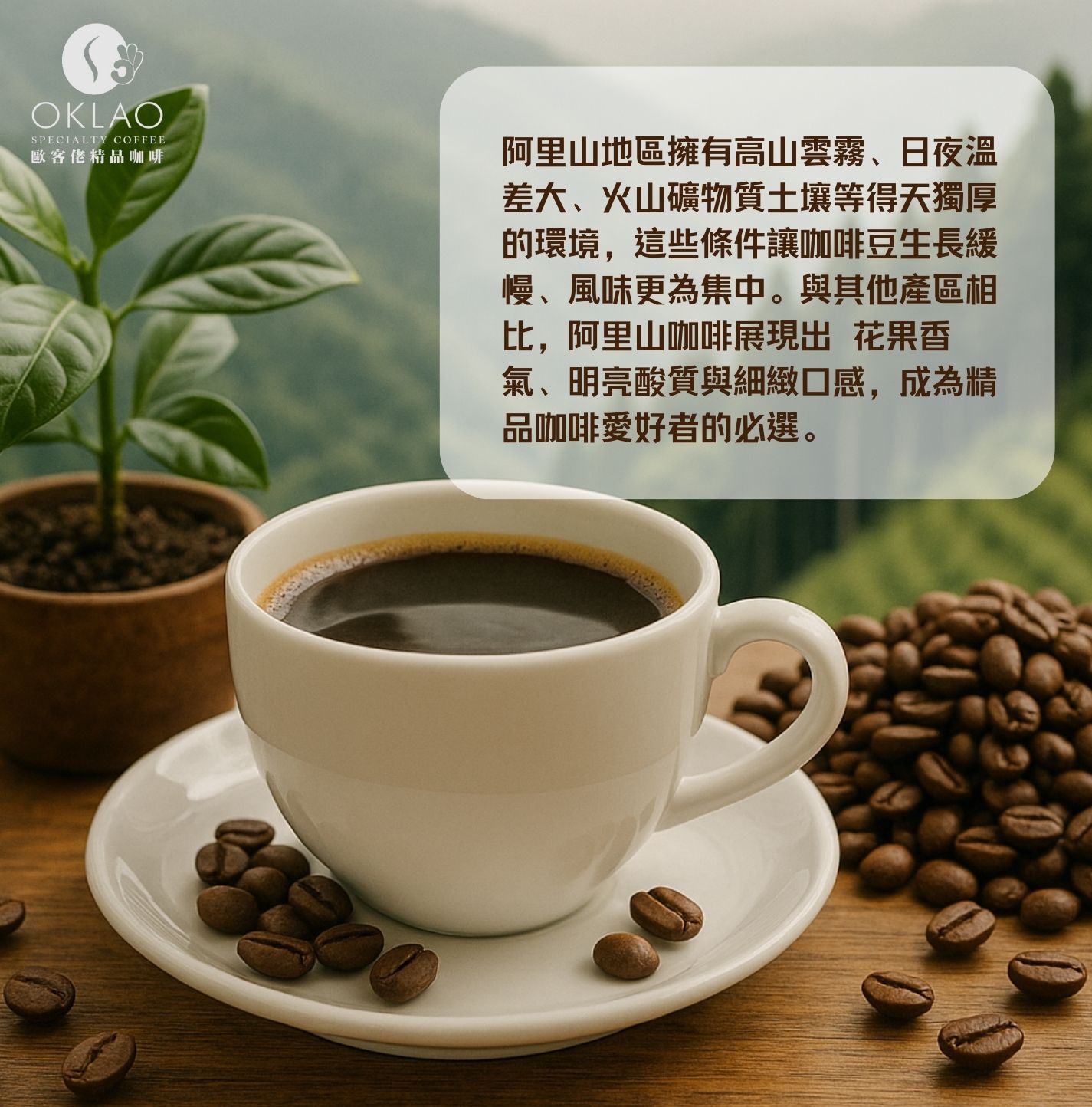 阿里山咖啡 台灣咖啡 手沖咖啡 高山咖啡 歐客佬咖啡 歐客佬精品咖啡 歐客佬濾掛咖啡 歐客佬門市 oklao 咖啡推薦