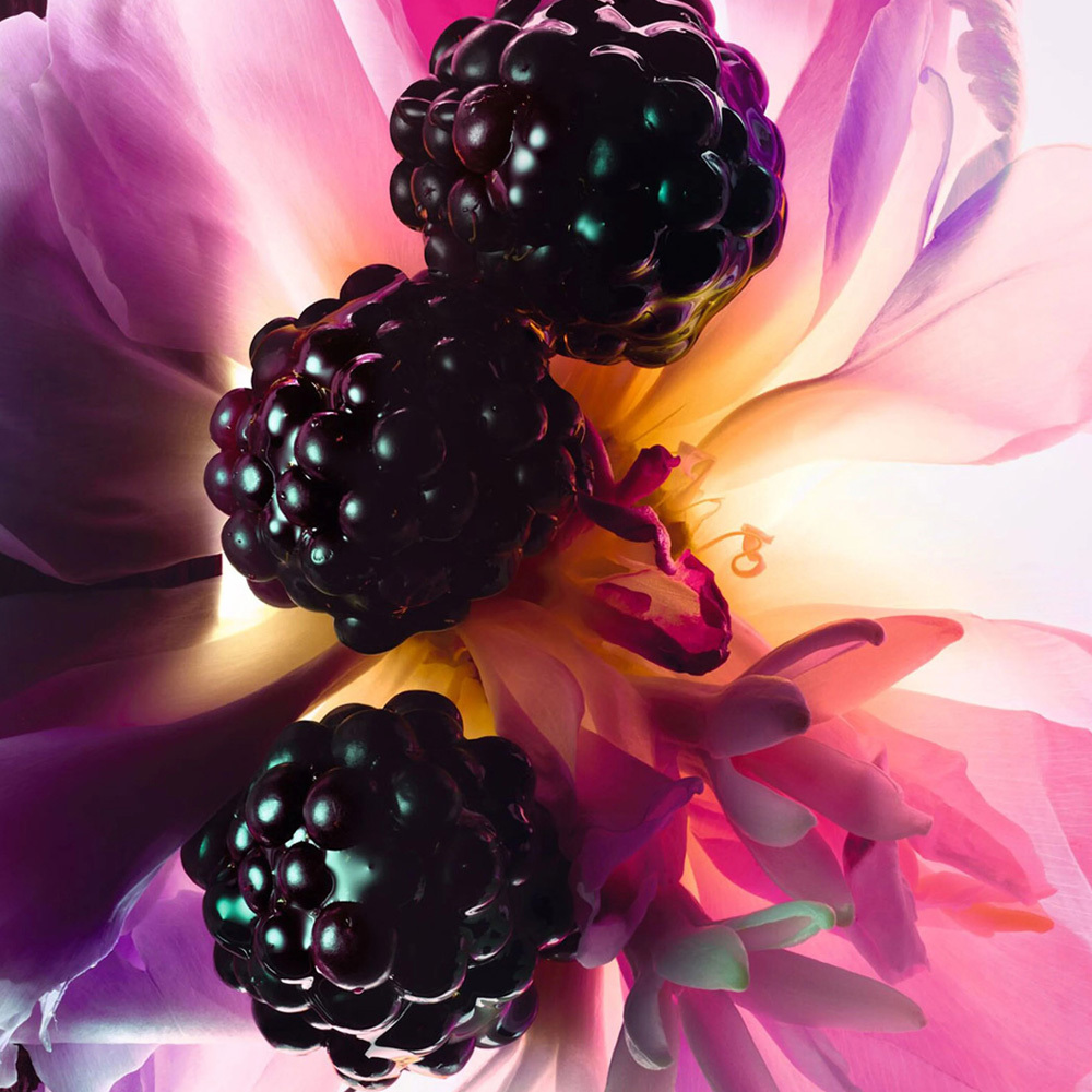 Dior迪奧 Miss Dior 極緻香精 80ml