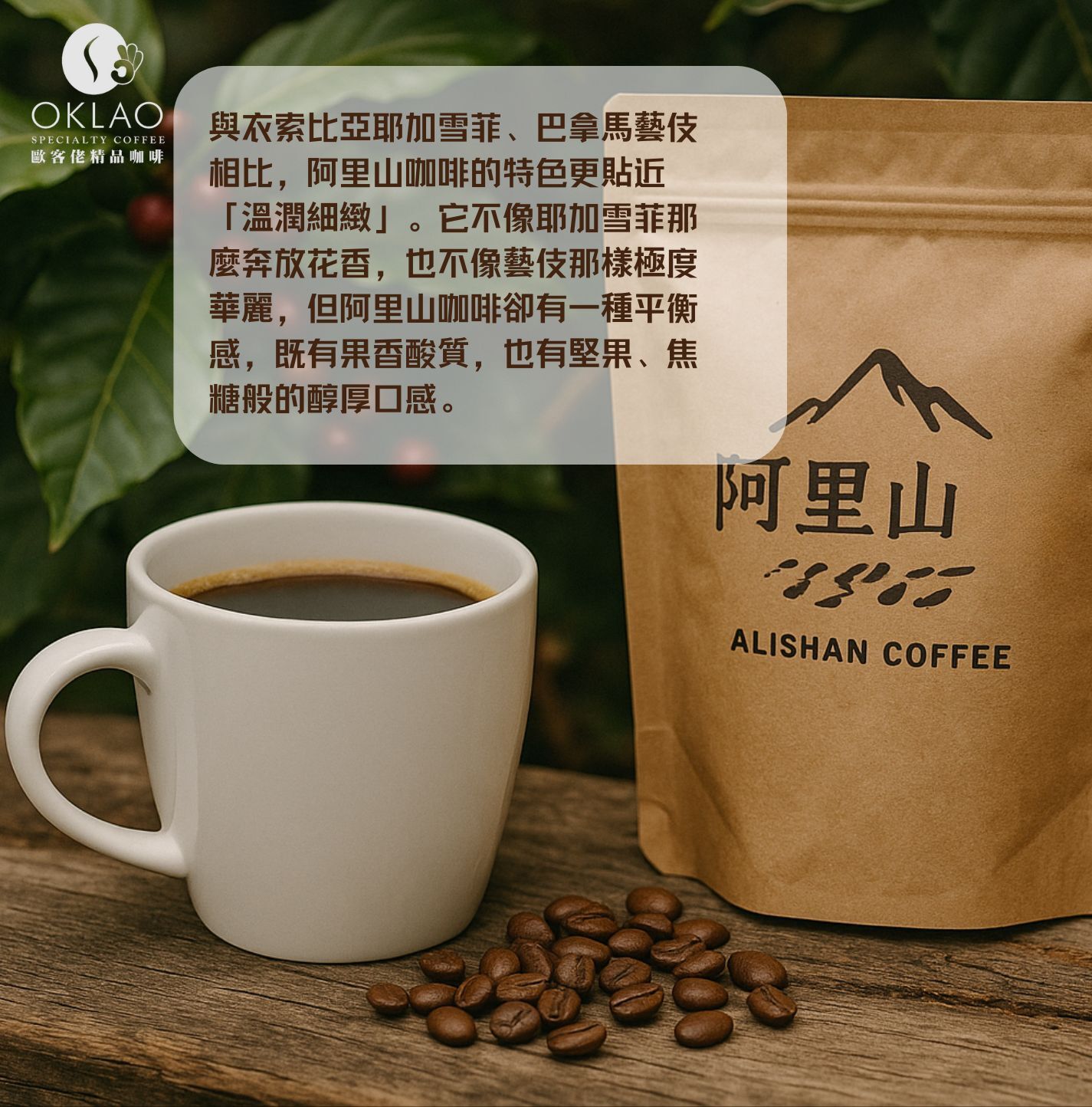 阿里山咖啡 台灣咖啡 手沖咖啡 高山咖啡 歐客佬咖啡 歐客佬精品咖啡 歐客佬濾掛咖啡 歐客佬門市 oklao 咖啡推薦