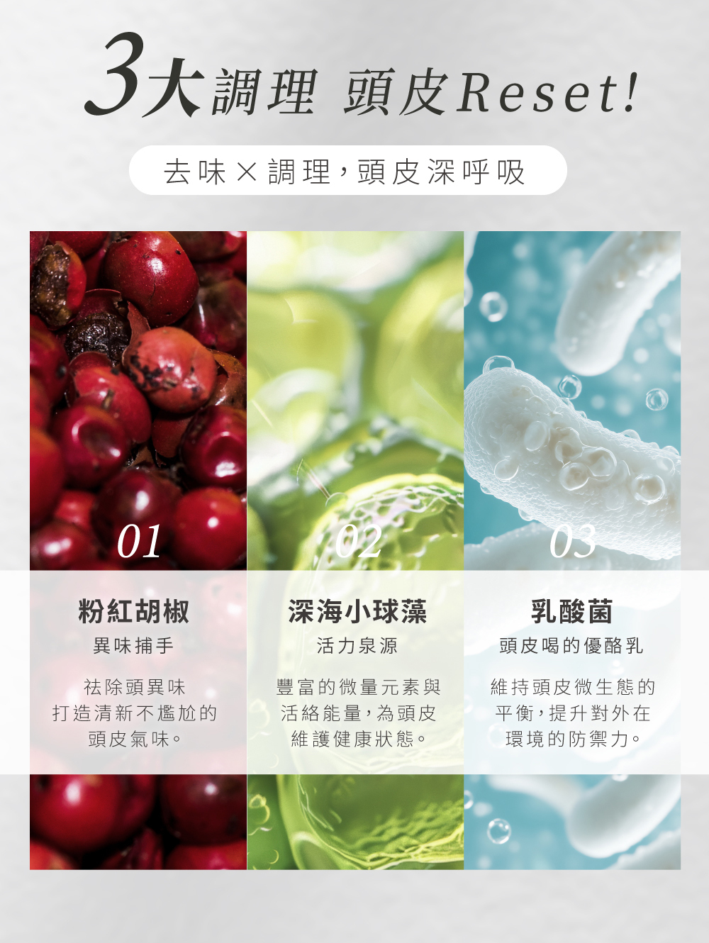 3大調理 頭皮reset