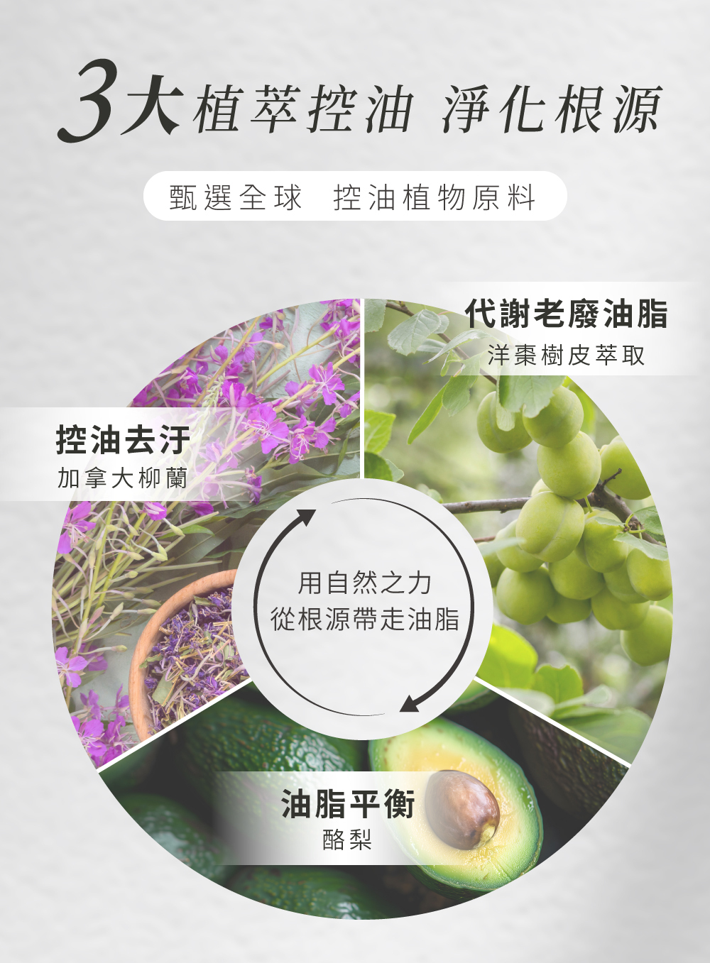 3大植物萃取控油方法