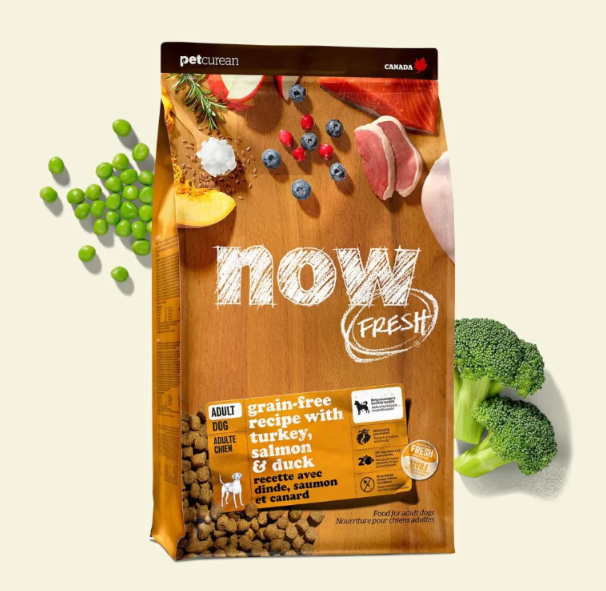 NOW FRESH! 無穀物成犬配方 - 火雞，三文魚，鴨肉 22LB