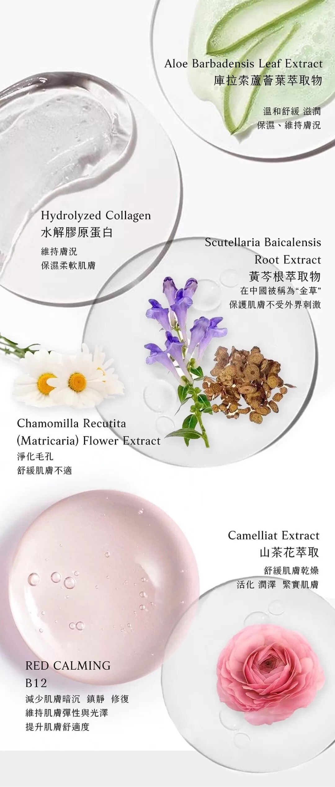 【直播】LL082109 LADY TIME B12面膜(5片裝)