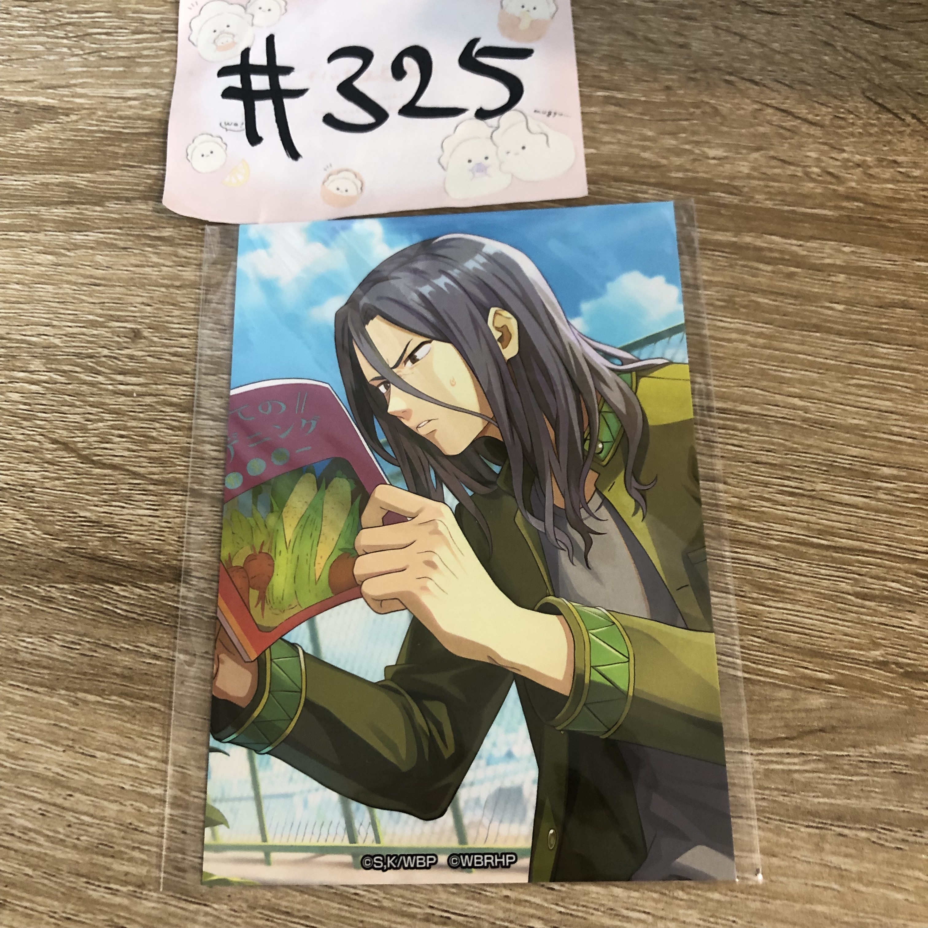 WIND BREAKER  杉下 相卡#325