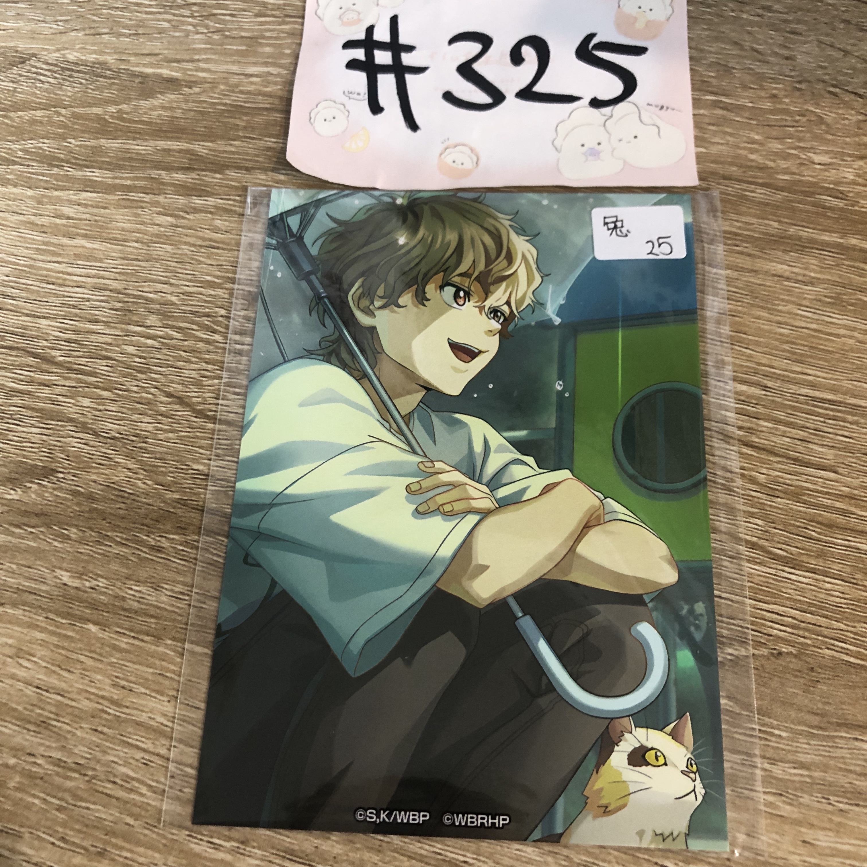 WIND BREAKER  兔耳山 相卡#325