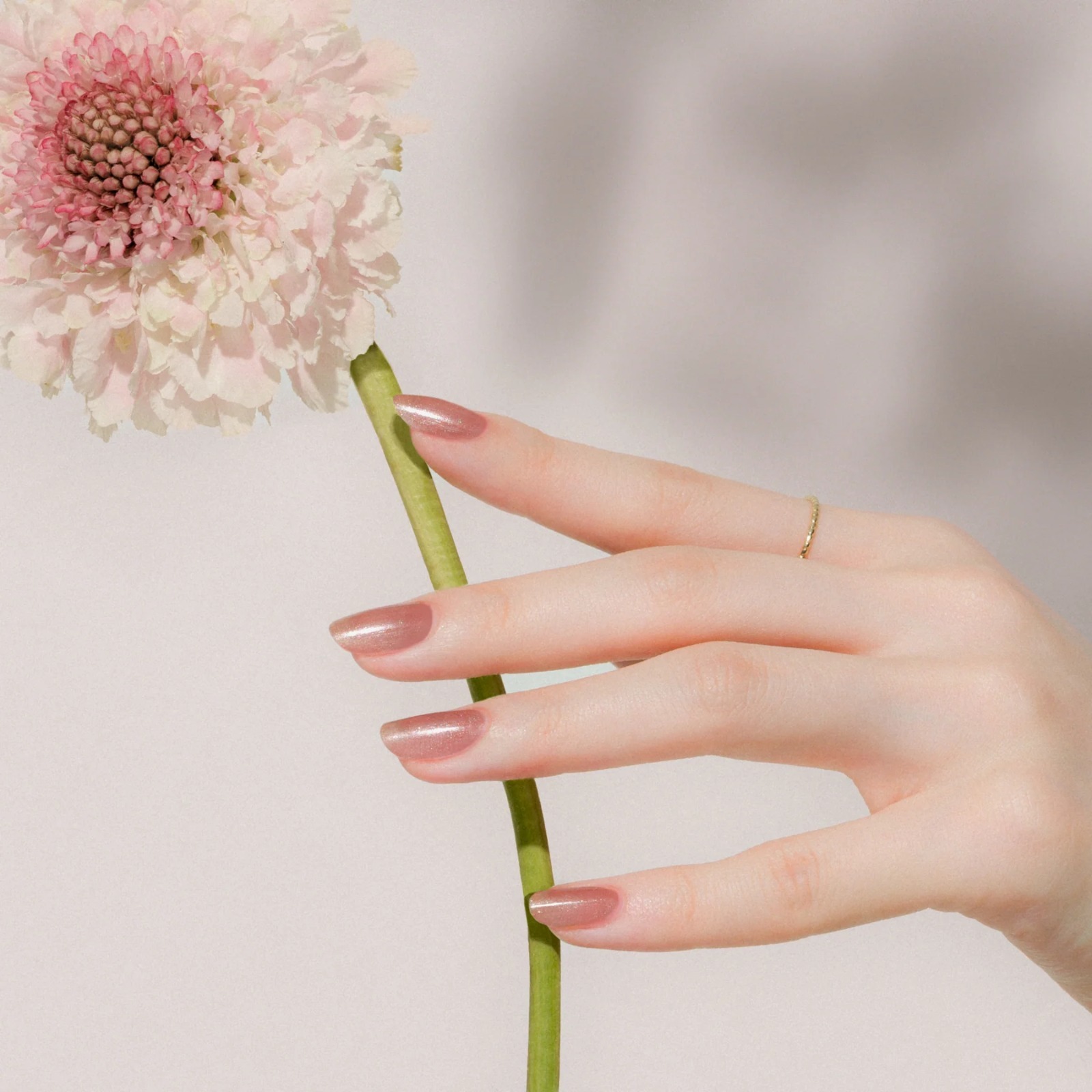 GN153 Harmony 60-Second Quick-Drying Nail Polish