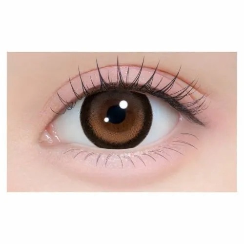 [日拋 Chapun 1 Day Tokitome Brown｜彩妝隱形眼鏡｜每盒10片