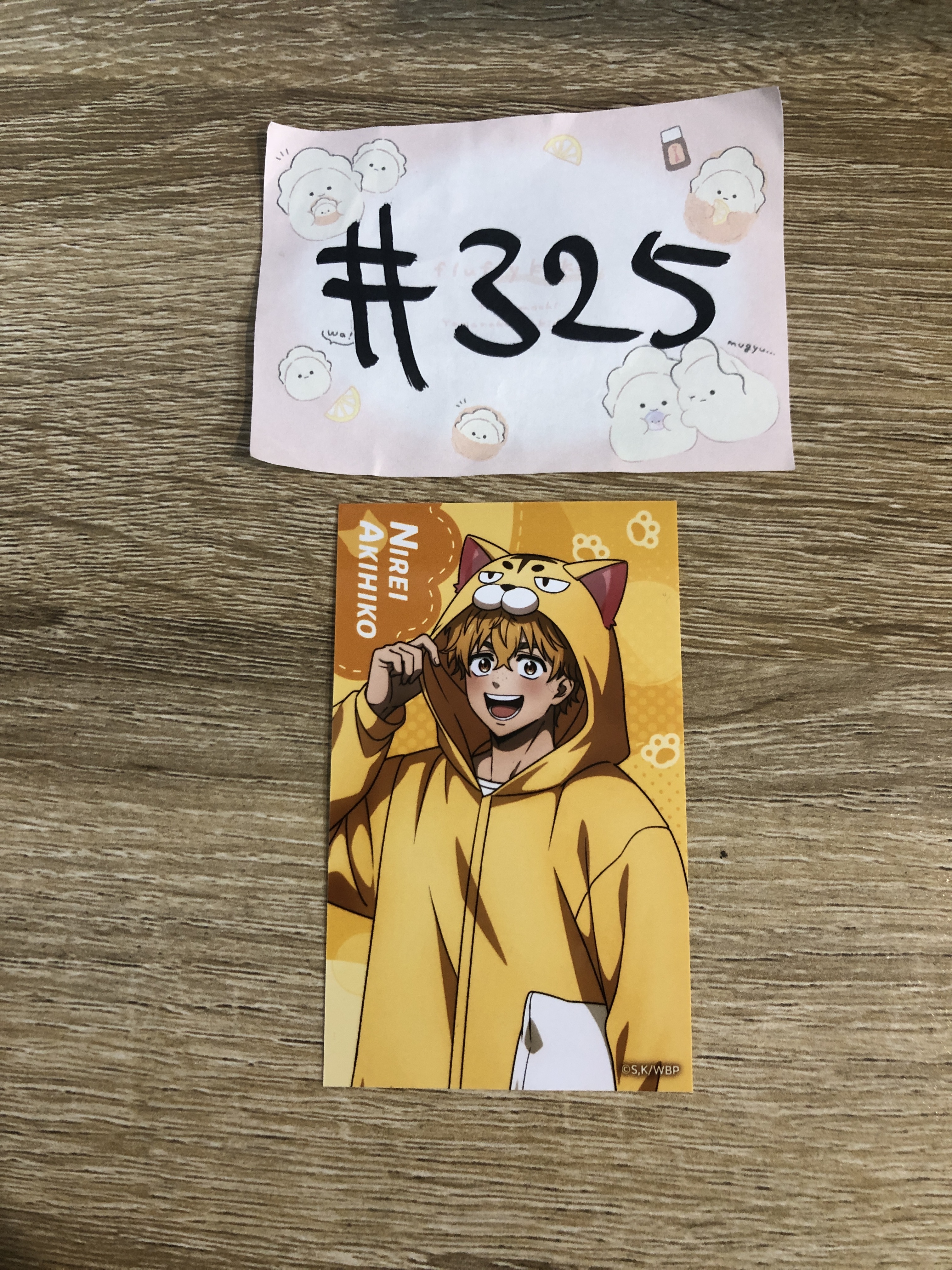 WIND BREAKER 榆井 小卡#325