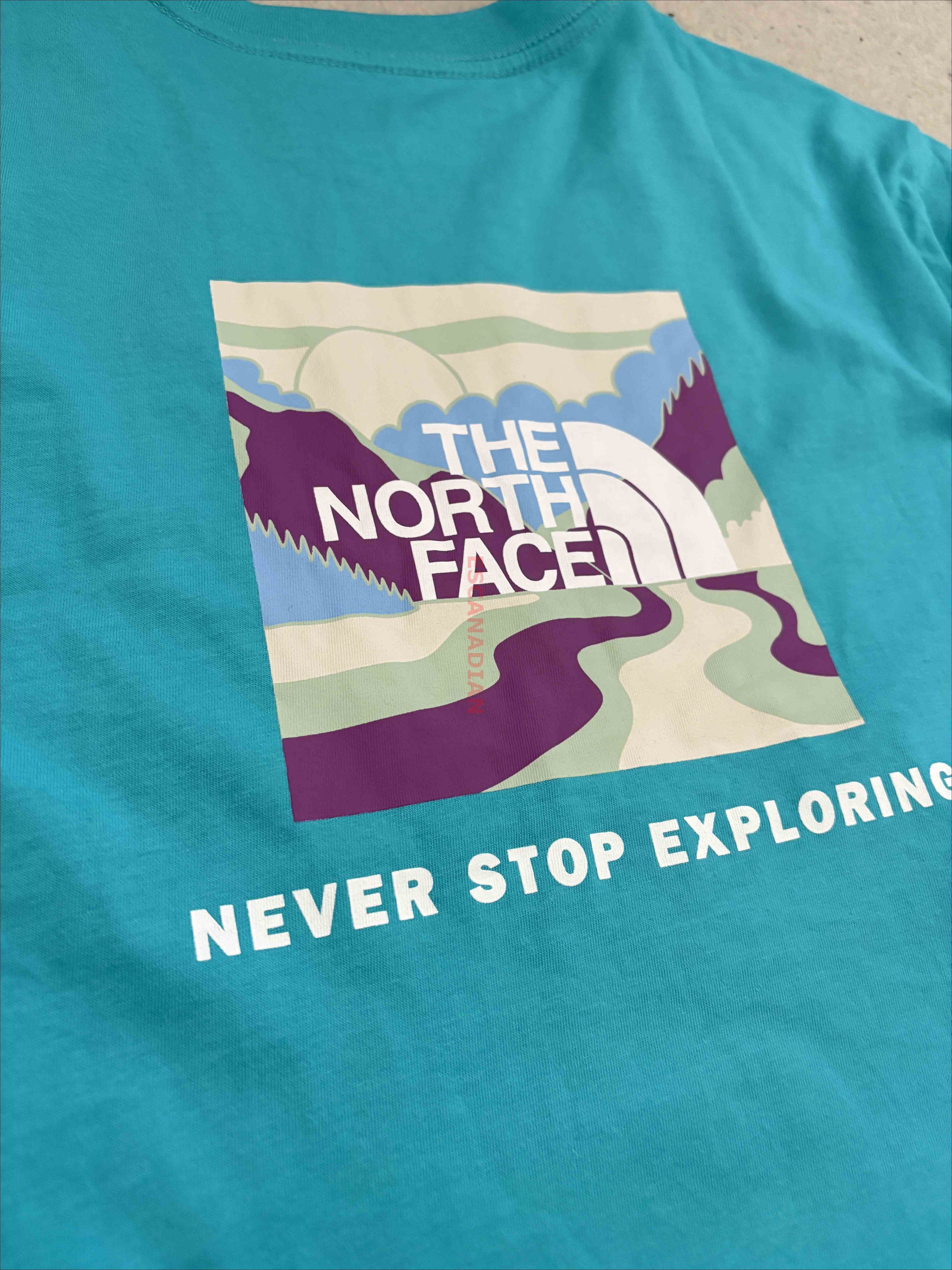 THE NORTH FACE 女大人 造型BOX 正反圖 短TEE