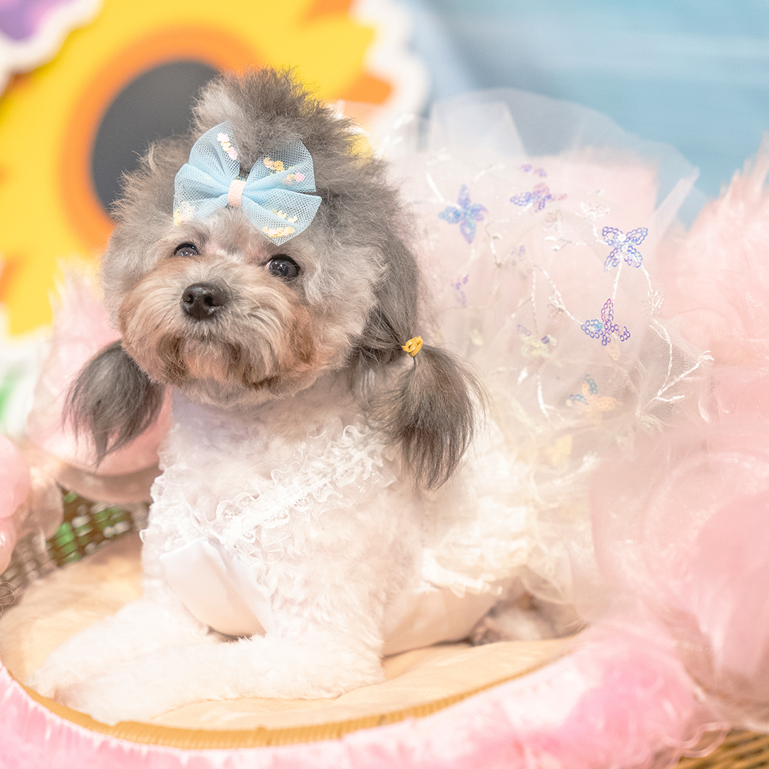 【S~4XL】Butterfly Sequins Tent Dress