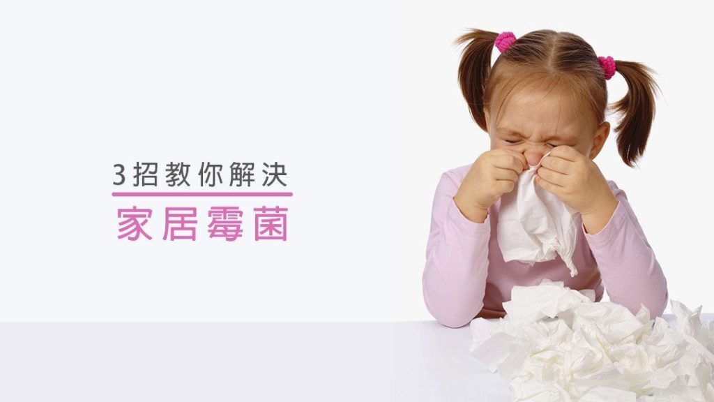 牆壁發霉處理 防霉措施