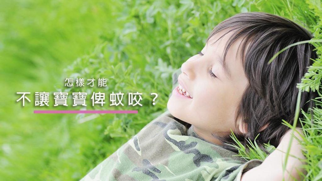 防蚊產品成分 安全使用方法 物理防蚊措施