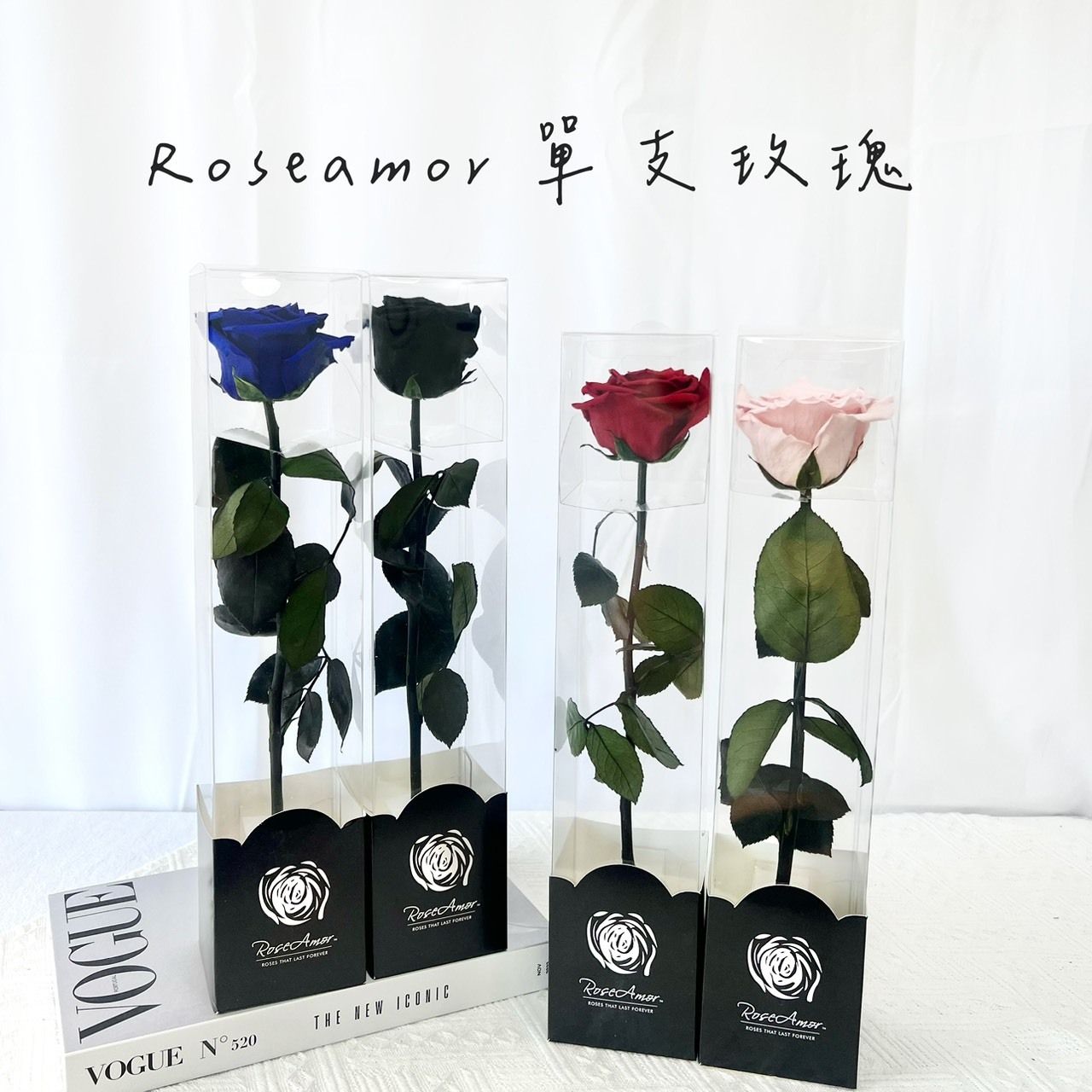 厄瓜多 Roseamor 單支帶桿玫瑰(透明盒)