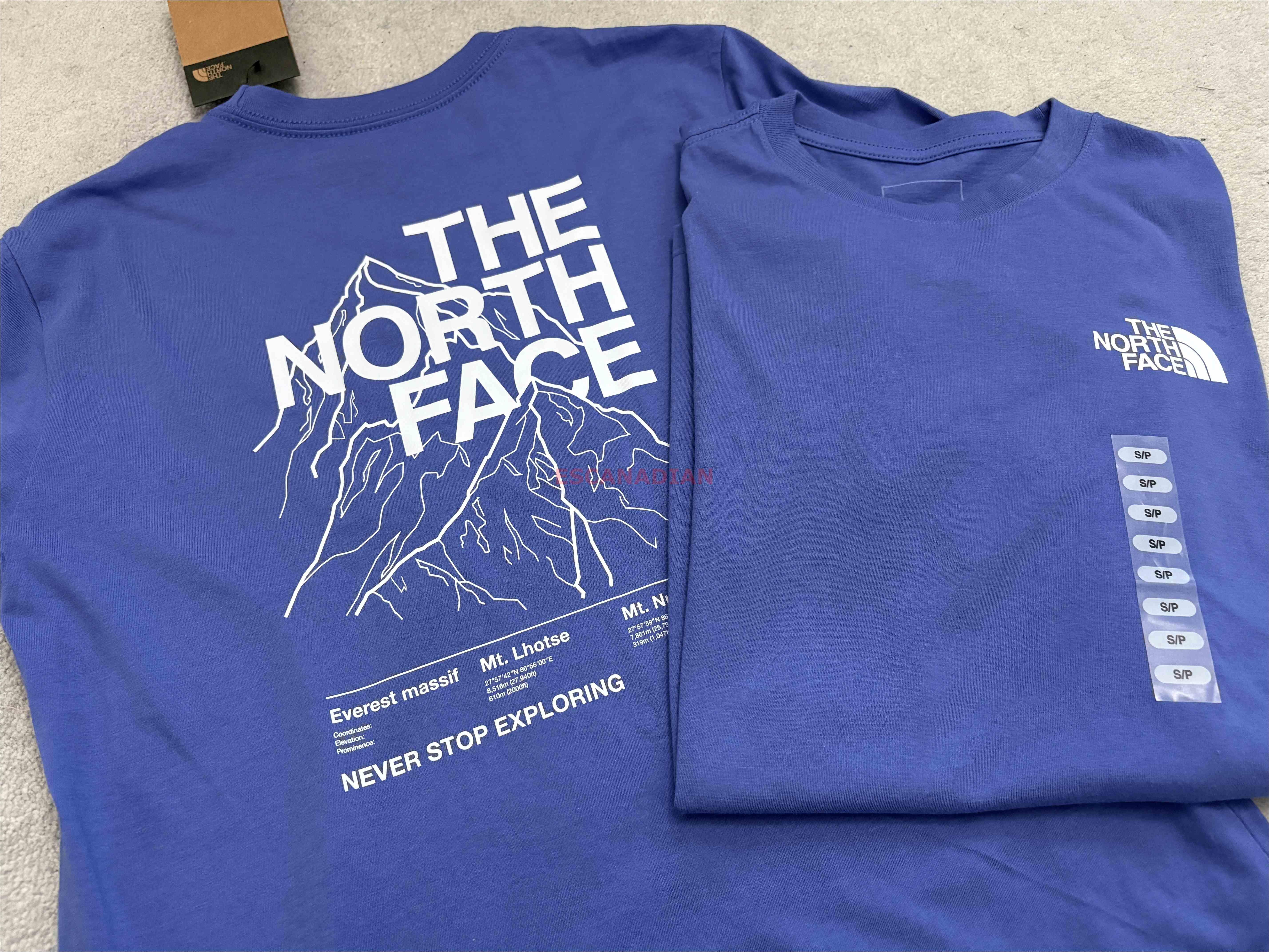 THE NORTH FACE 女大人 雪山 正反圖  短TEE